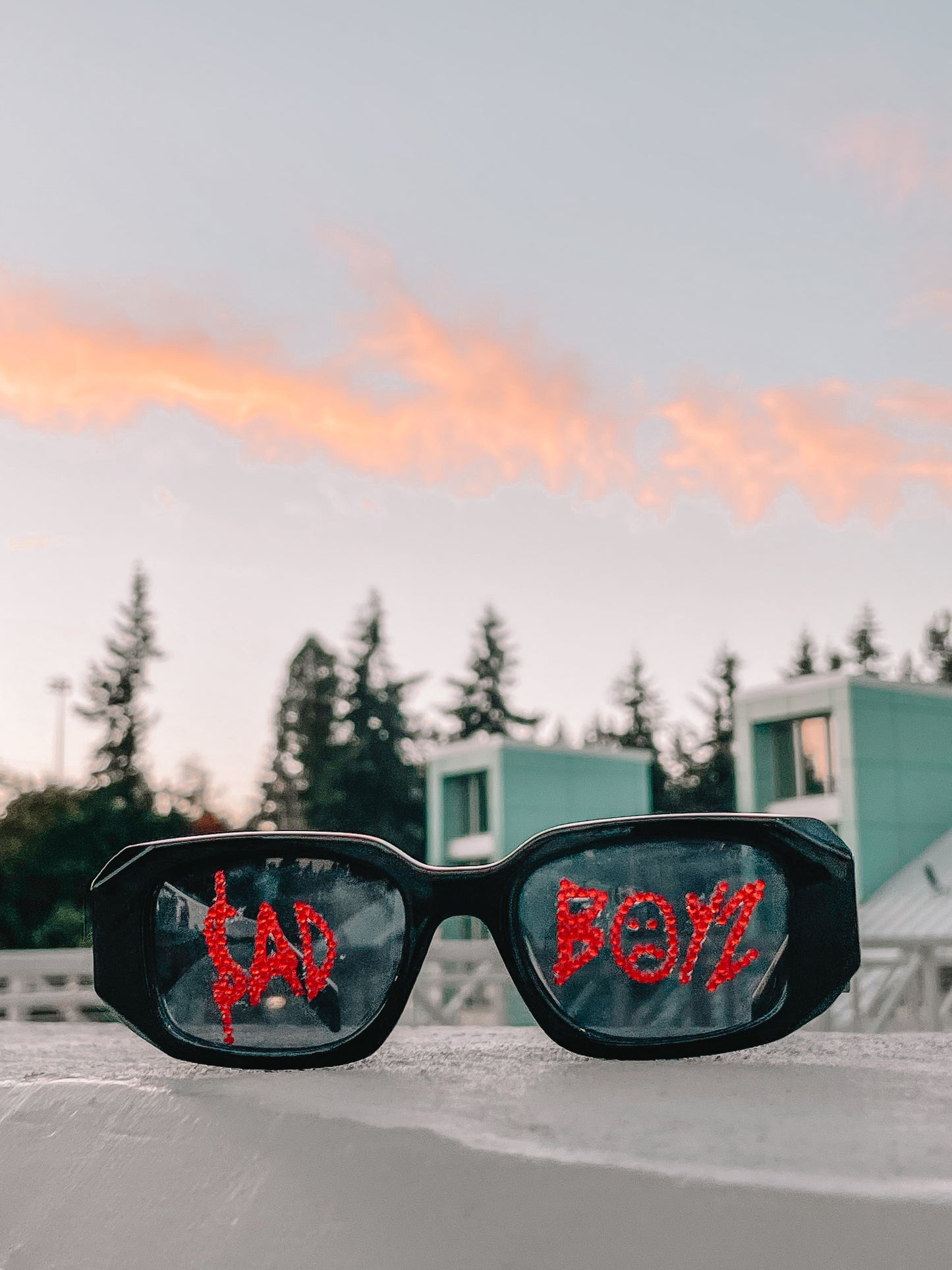SB Rhinestone Sunglasses